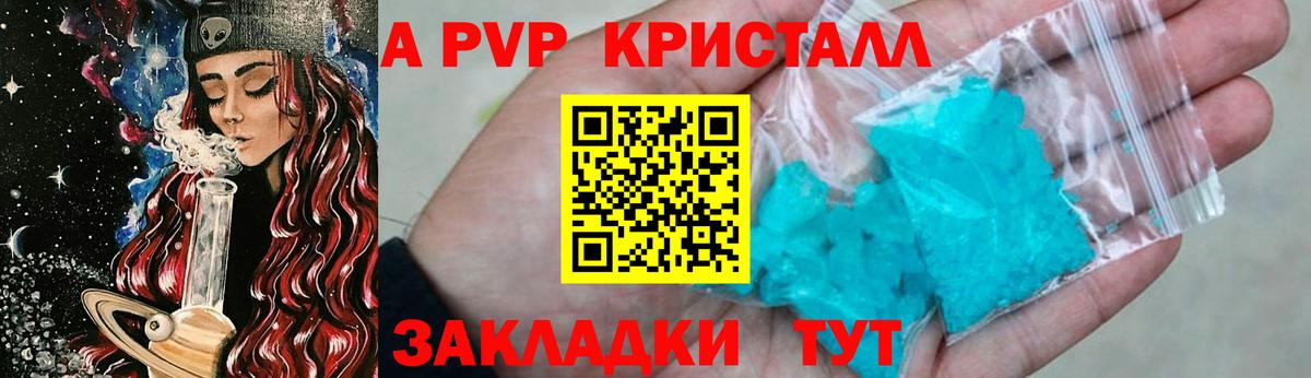 A PVP СК Новочеркасск