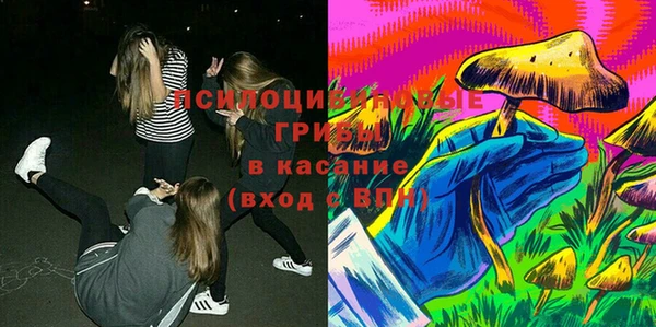 гидра Липки