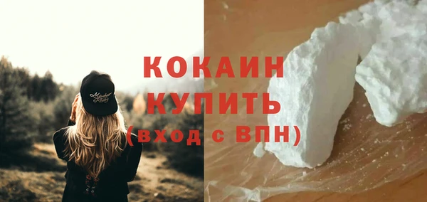 гидра Липки