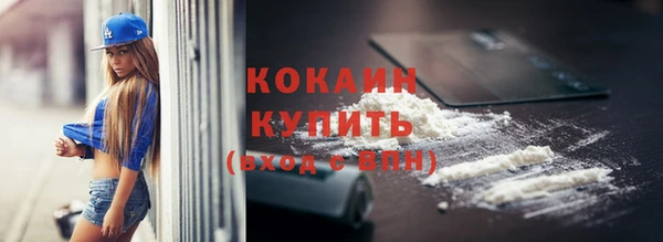 гидра Липки