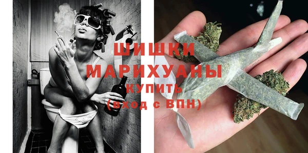 гидра Липки
