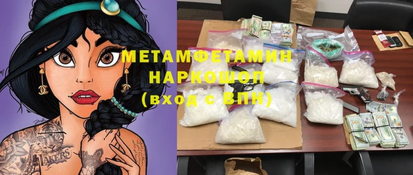 гидра Липки