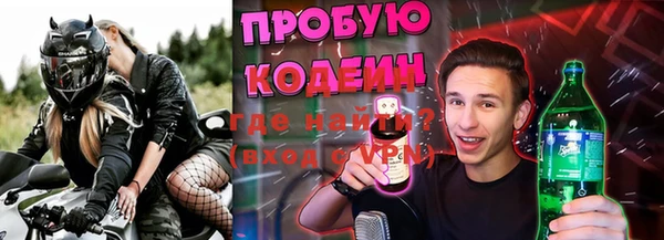 гидра Липки