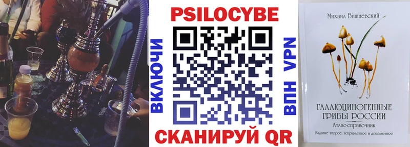 Псилоцибиновые грибы GOLDEN TEACHER  Купить закладки  Новочеркасск 