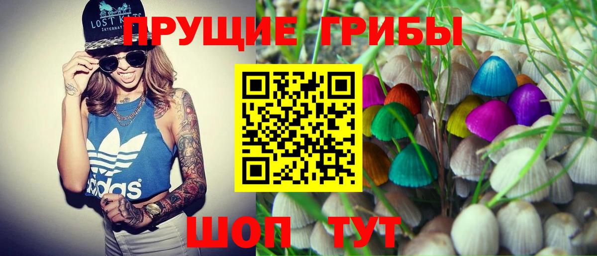 Галлюциногенные грибы Magic Shrooms Новочеркасск