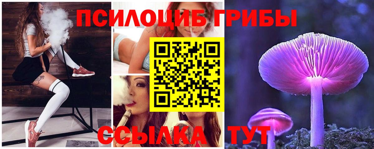 Псилоцибиновые грибы Magic Shrooms  Вход с VPN  Новочеркасск 